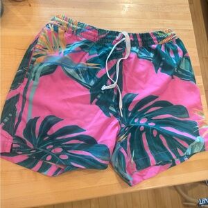 Chubbies Kids Tropical Pink and Green Shorts
